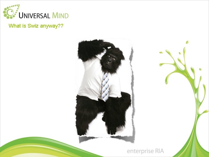 What is Swiz anyway? ? 