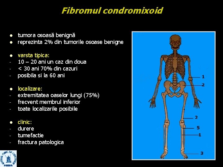 Fibromul condromixoid l l l - tumora osoasă benignă reprezinta 2% din tumorile osoase