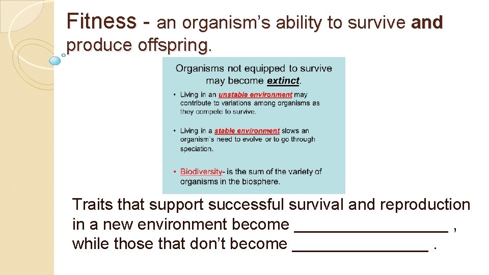 Fitness - an organism’s ability to survive and produce offspring. Traits that support successful