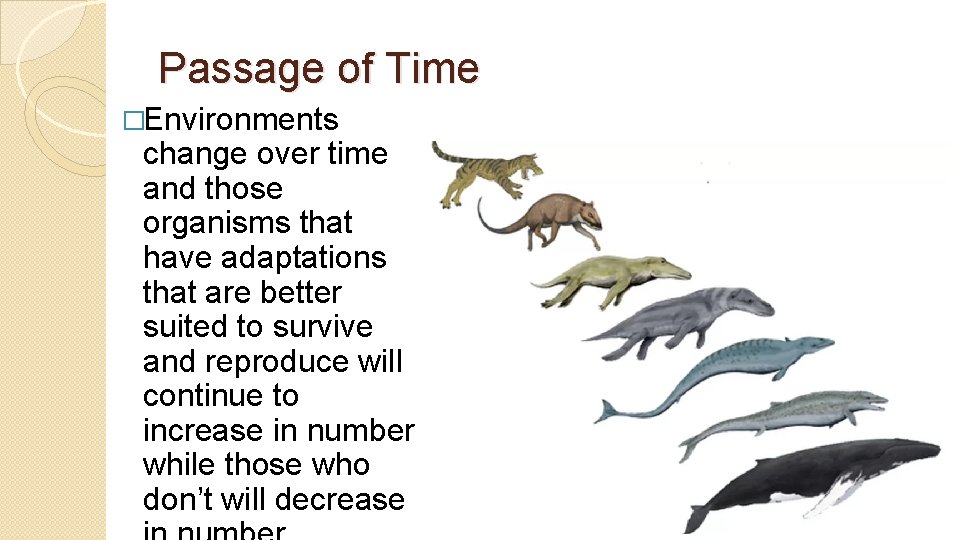 Passage of Time �Environments change over time and those organisms that have adaptations that