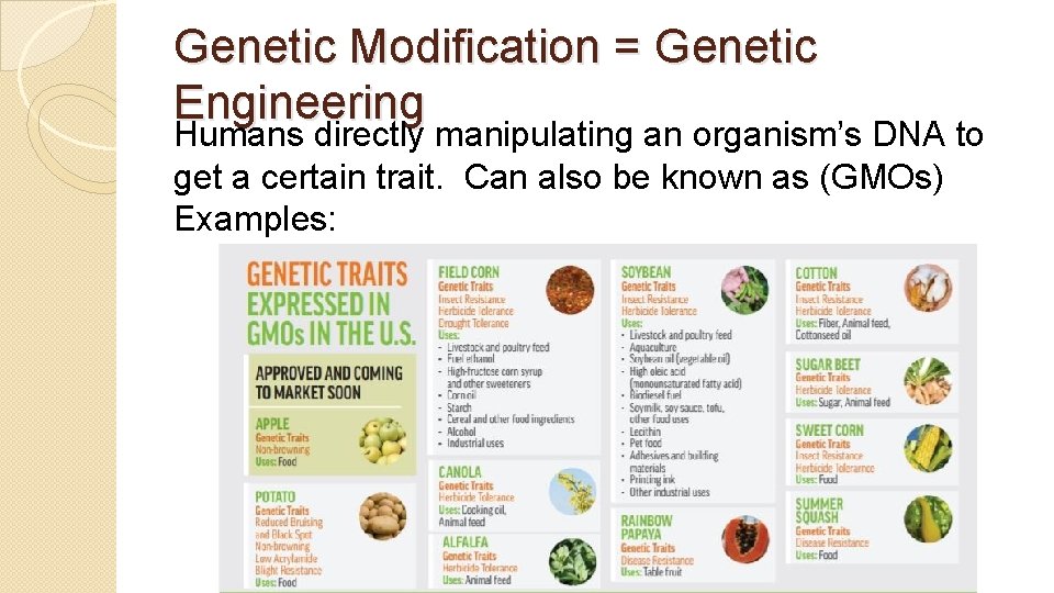 Genetic Modification = Genetic Engineering Humans directly manipulating an organism’s DNA to get a