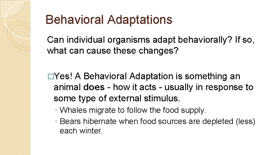 Behavioral Adaptations Can individual organisms adapt behaviorally? If so, what can cause these changes?