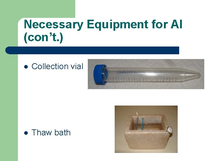 Necessary Equipment for AI (con’t. ) l Collection vial l Thaw bath 