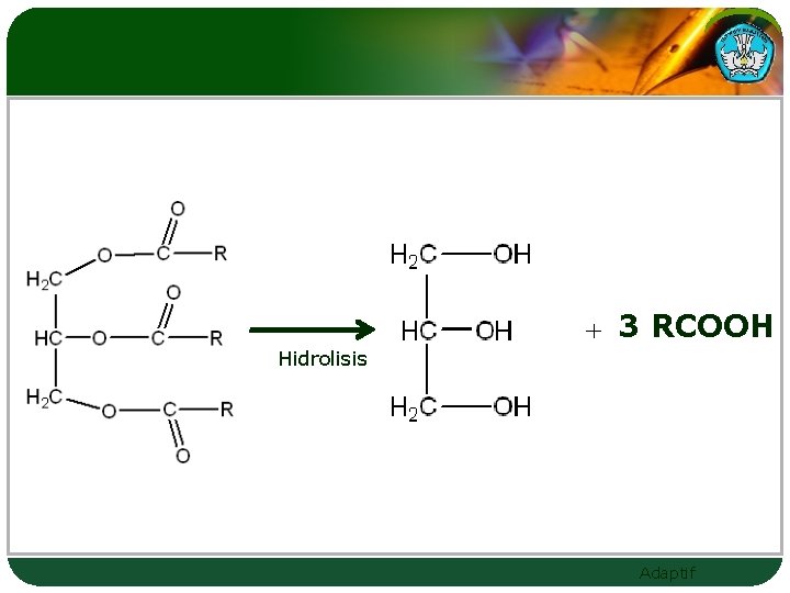 3 RCOOH Hidrolisis Adaptif 