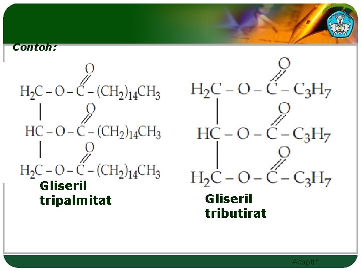 Contoh: Gliseril tripalmitat Gliseril tributirat Adaptif 