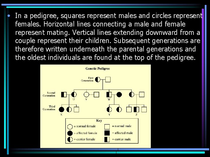  • In a pedigree, squares represent males and circles represent females. Horizontal lines