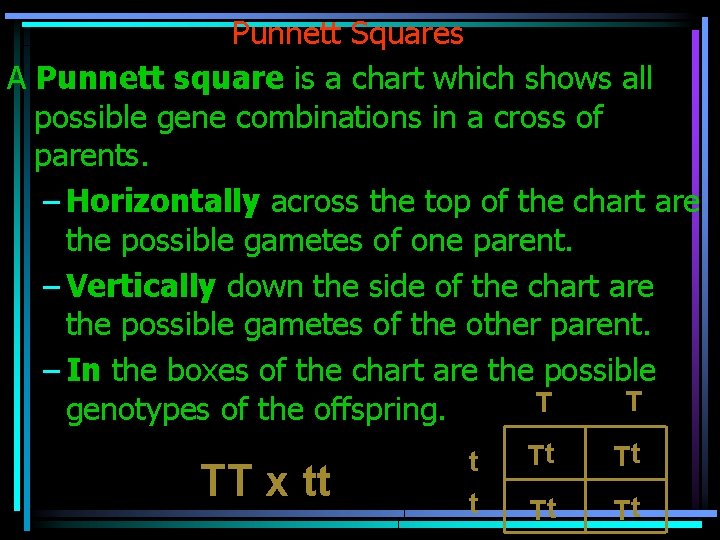 Punnett Squares A Punnett square is a chart which shows all possible gene combinations