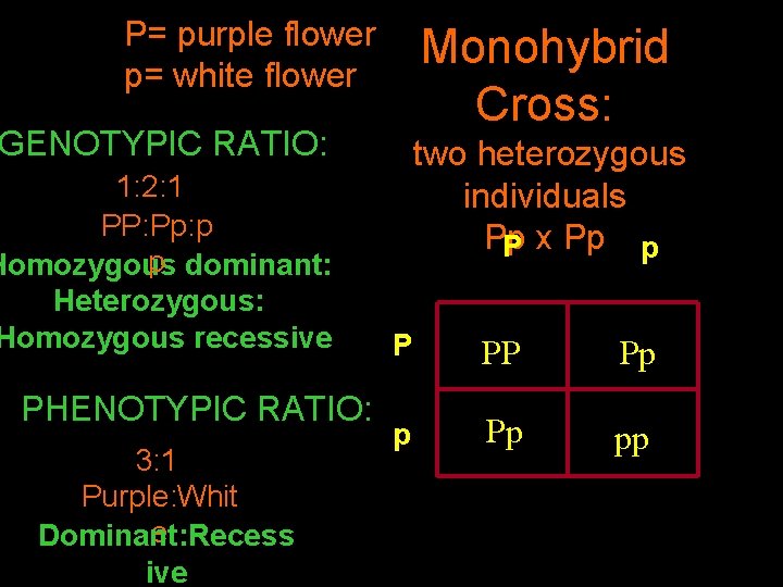 P= purple flower p= white flower Monohybrid Cross: GENOTYPIC RATIO: 1: 2: 1 PP: