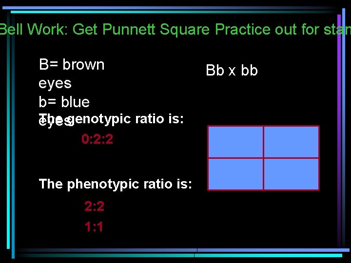 Bell Work: Get Punnett Square Practice out for stam B= brown eyes b= blue