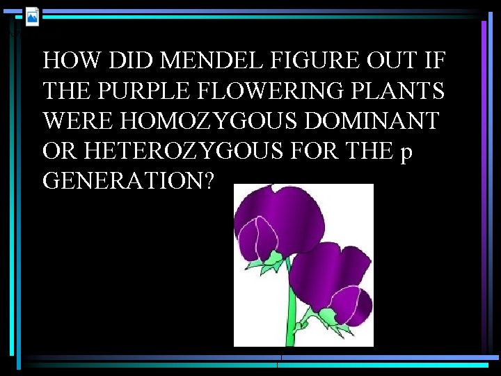 HOW DID MENDEL FIGURE OUT IF THE PURPLE FLOWERING PLANTS WERE HOMOZYGOUS DOMINANT OR