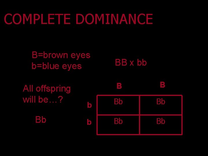 COMPLETE DOMINANCE B=brown eyes b=blue eyes All offspring will be…? Bb BB x bb