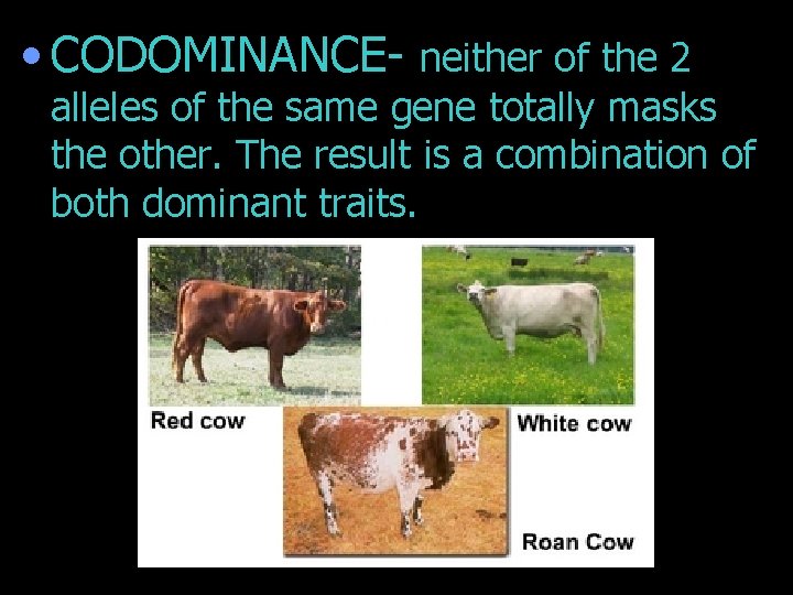  • CODOMINANCE- neither of the 2 alleles of the same gene totally masks