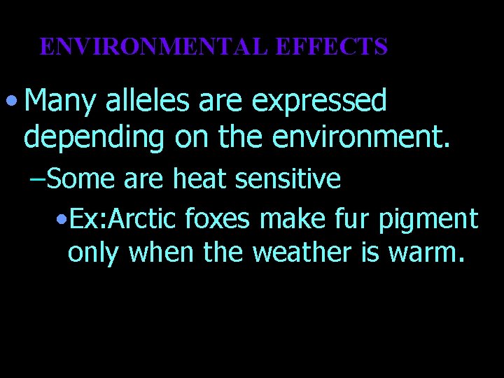 ENVIRONMENTAL EFFECTS • Many alleles are expressed depending on the environment. –Some are heat