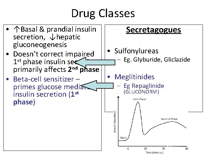 Drug Classes • ↑Basal & prandial insulin Secretagogues secretion, ↓hepatic gluconeogenesis • Doesn’t correct