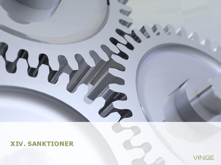 XIV. SANKTIONER 