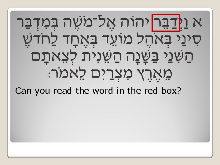 Can you read the word in the red box? 