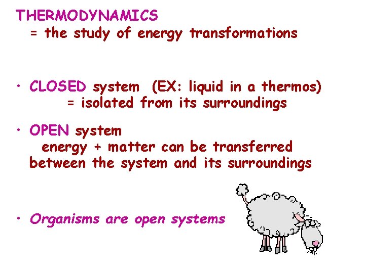 THERMODYNAMICS = the study of energy transformations • CLOSED system (EX: liquid in a