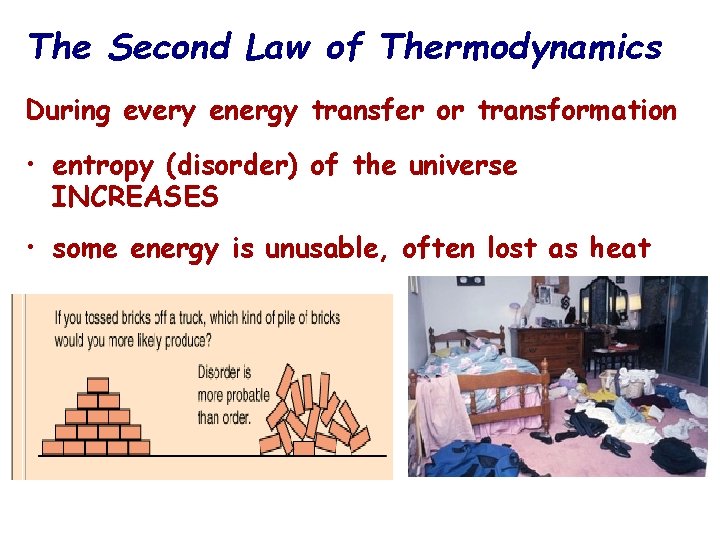 The Second Law of Thermodynamics During every energy transfer or transformation • entropy (disorder)