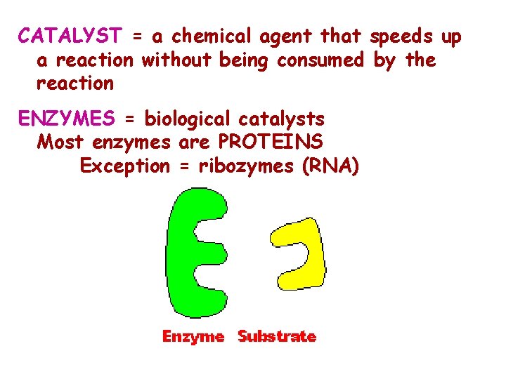 CATALYST = a chemical agent that speeds up a reaction without being consumed by