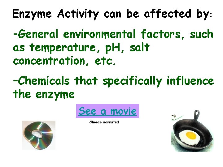 Enzyme Activity can be affected by: –General environmental factors, such as temperature, p. H,