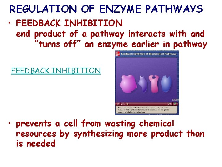 REGULATION OF ENZYME PATHWAYS • FEEDBACK INHIBITION end product of a pathway interacts with