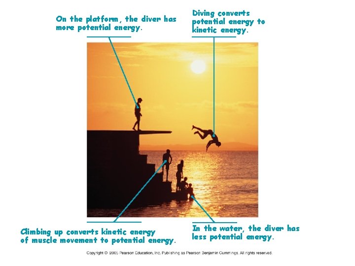 On the platform, the diver has more potential energy. Climbing up converts kinetic energy