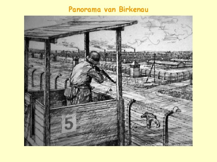 Panorama van Birkenau 