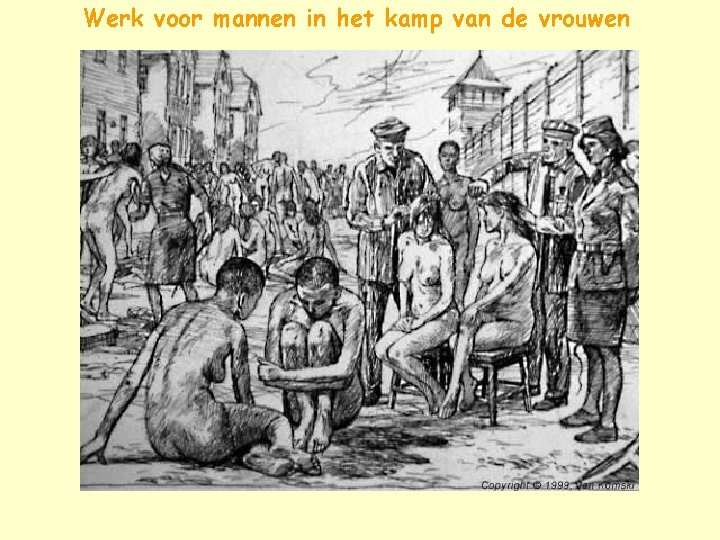 Werk voor mannen in het kamp van de vrouwen 