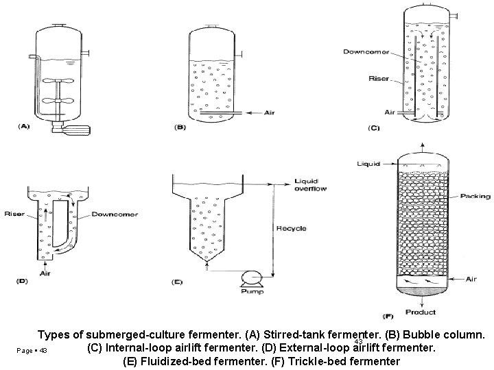 Types of submerged-culture fermenter. (A) Stirred-tank fermenter. (B) Bubble column. 43 (C) Internal-loop airlift