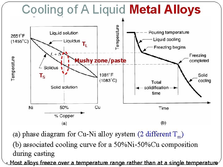 Cooling of A Liquid Metal Alloys TL Mushy zone/paste TS (a) phase diagram for