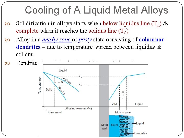 Cooling of A Liquid Metal Alloys Solidification in alloys starts when below liquidus line