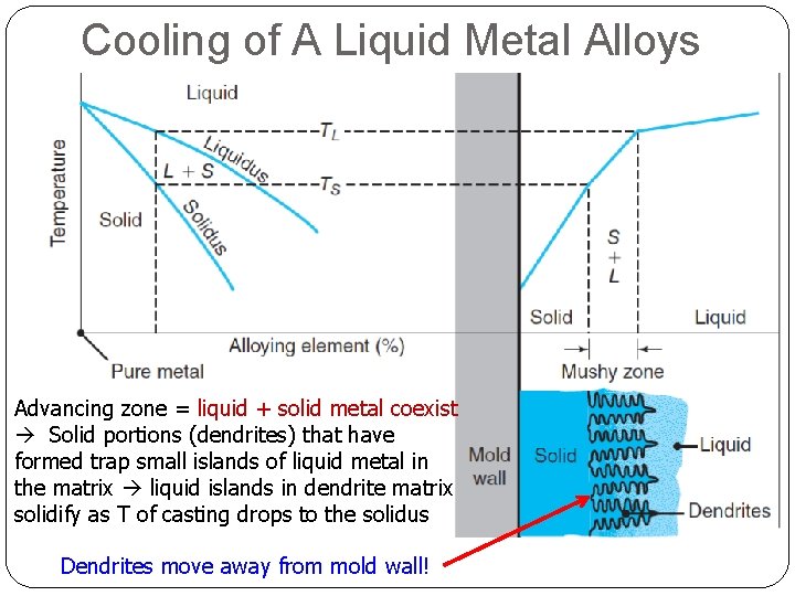 Cooling of A Liquid Metal Alloys Advancing zone = liquid + solid metal coexist