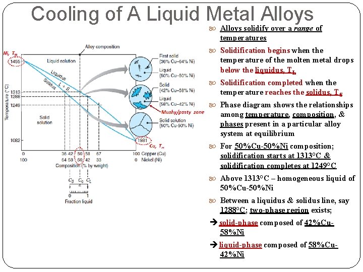 Cooling of A Liquid Metal Alloys solidify over a range of temperatures Solidification begins