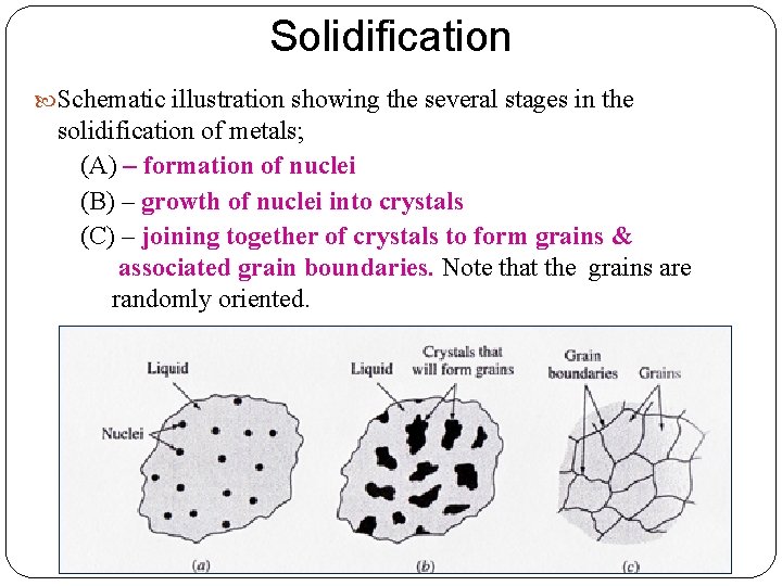 Solidification Schematic illustration showing the several stages in the solidification of metals; (A) –