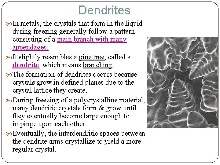 Dendrites In metals, the crystals that form in the liquid during freezing generally follow