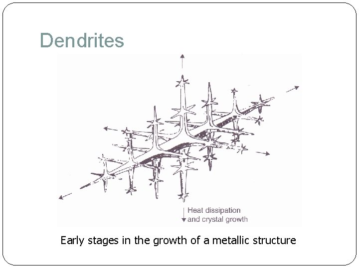 Dendrites Early stages in the growth of a metallic structure 