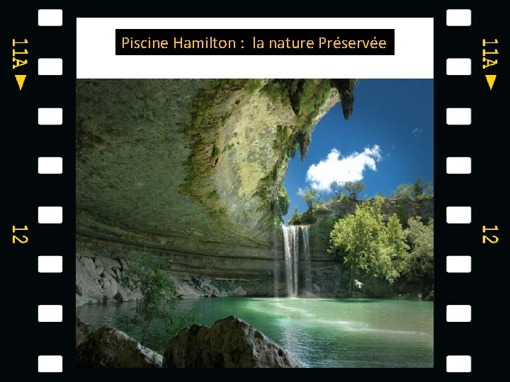 Piscine Hamilton : la nature Préservée 