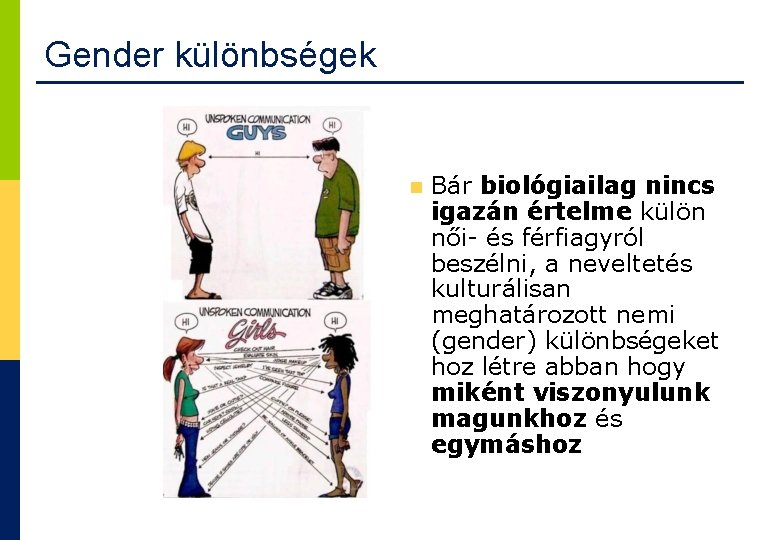 Gender különbségek 35 Bár biológiailag nincs igazán értelme külön női- és férfiagyról beszélni, a