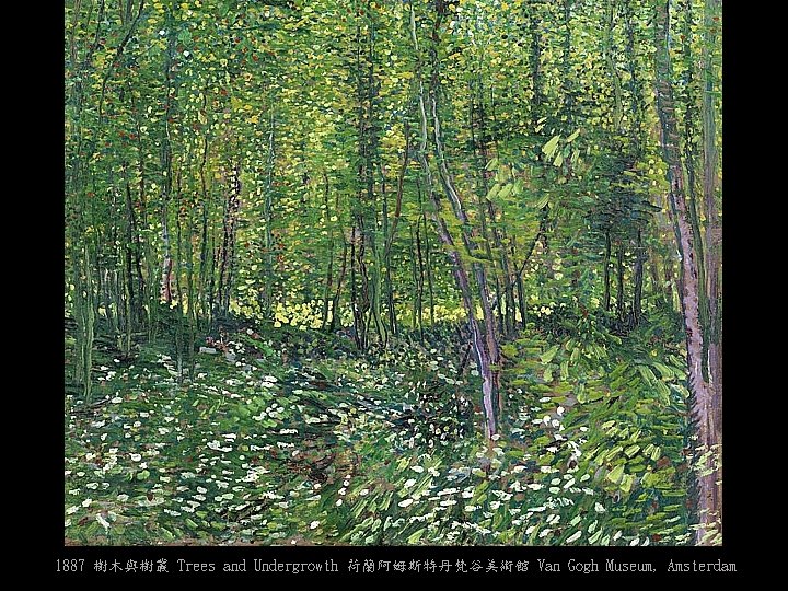 1887 樹木與樹叢 Trees and Undergrowth 荷蘭阿姆斯特丹梵谷美術館 Van Gogh Museum, Amsterdam 