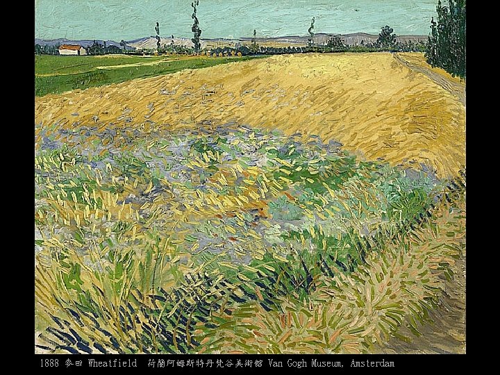 1888 麥田 Wheatfield 荷蘭阿姆斯特丹梵谷美術館 Van Gogh Museum, Amsterdam 