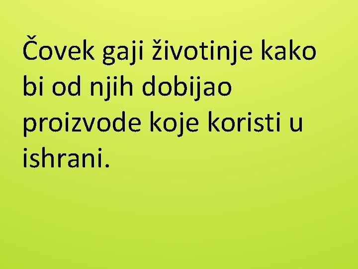 Čovek gaji životinje kako bi od njih dobijao proizvode koje koristi u ishrani. 