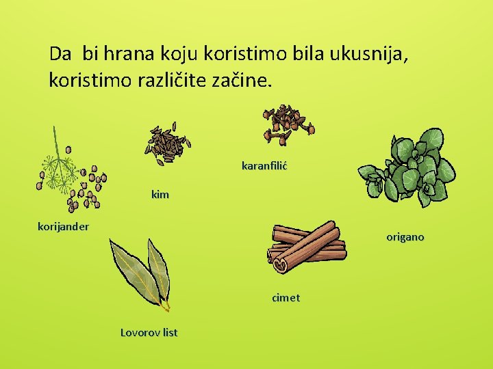 Da bi hrana koju koristimo bila ukusnija, koristimo različite začine. karanfilić kim korijander origano