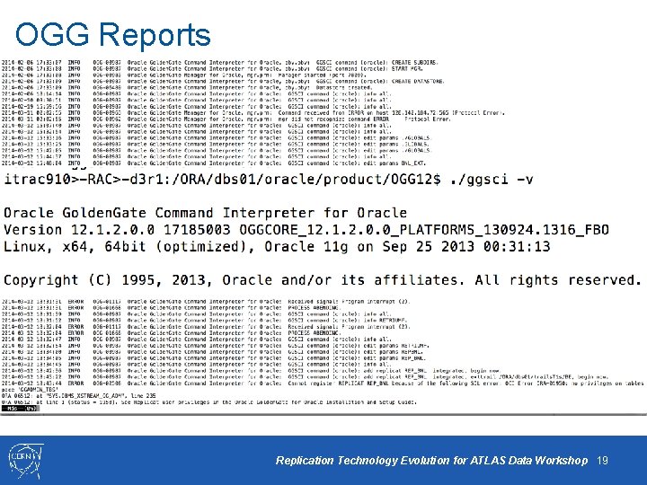 OGG Reports q Oracle Golden. Gate Error Log Analysis : ggserr. log o GGSCI>
