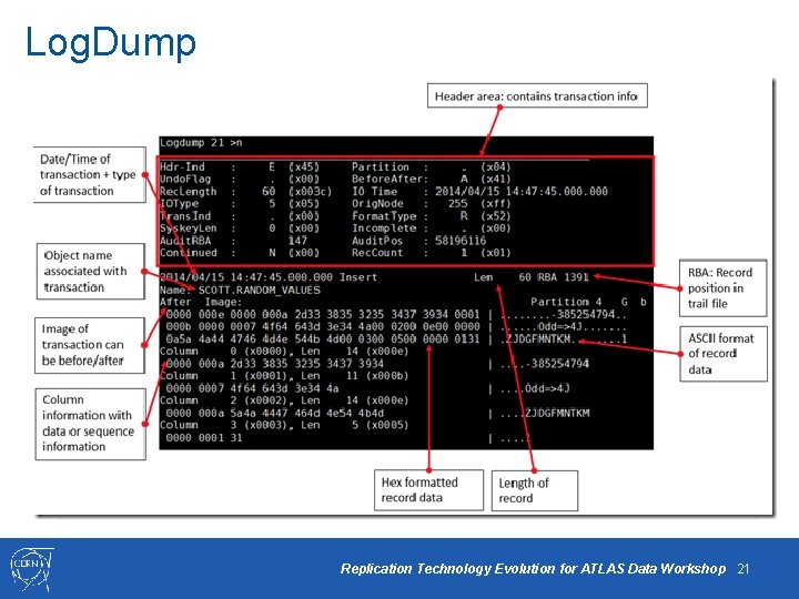 Log. Dump Group. ID Trail Info Tokens Signature, Compatibility, Character Set, Creation Time, URI