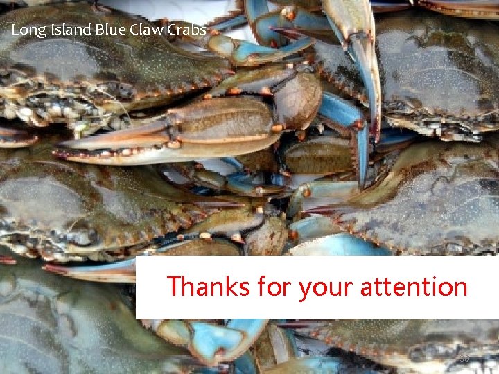 Long Island Blue Claw Crabs Thanks for your attention Hi. Lumi-LHC/LARP Crab Cavity System