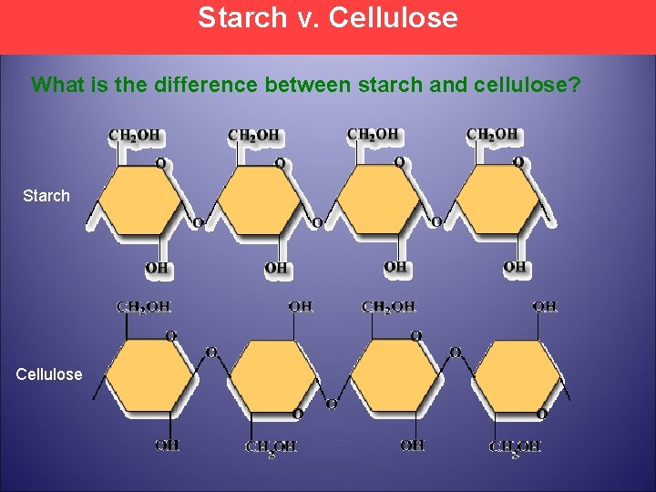 Starch v. Cellulose What is the difference between starch and cellulose? Starch Cellulose 