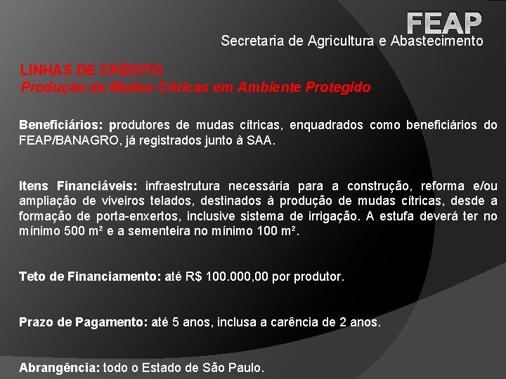 FEAP Secretaria de Agricultura e Abastecimento LINHAS DE CRÉDITO Produção de Mudas Cítricas em