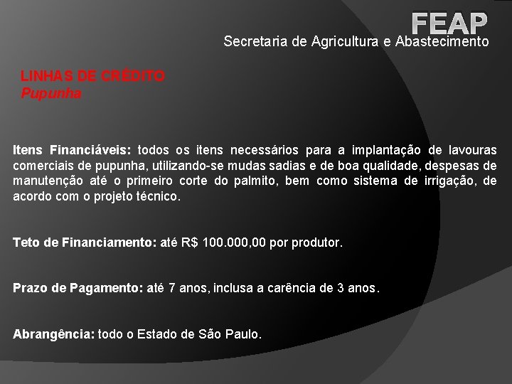 FEAP Secretaria de Agricultura e Abastecimento LINHAS DE CRÉDITO Pupunha Itens Financiáveis: todos os