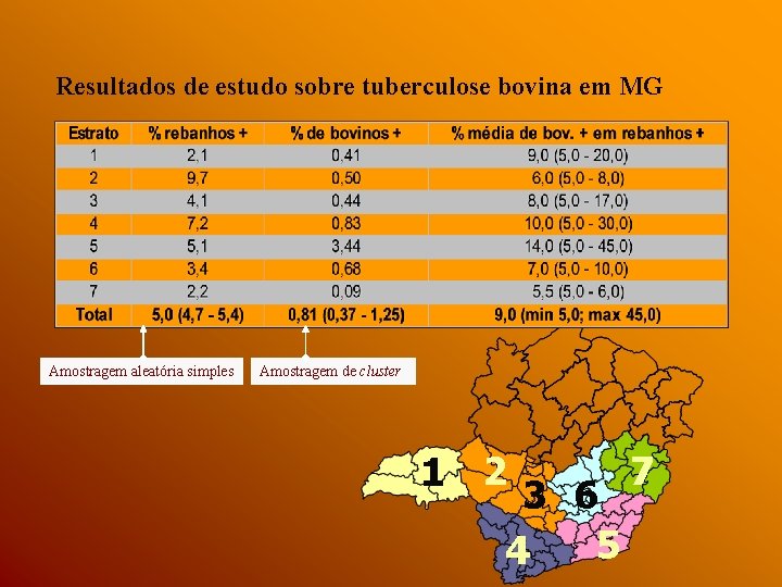 Resultados de estudo sobre tuberculose bovina em MG Amostragem aleatória simples Amostragem de cluster