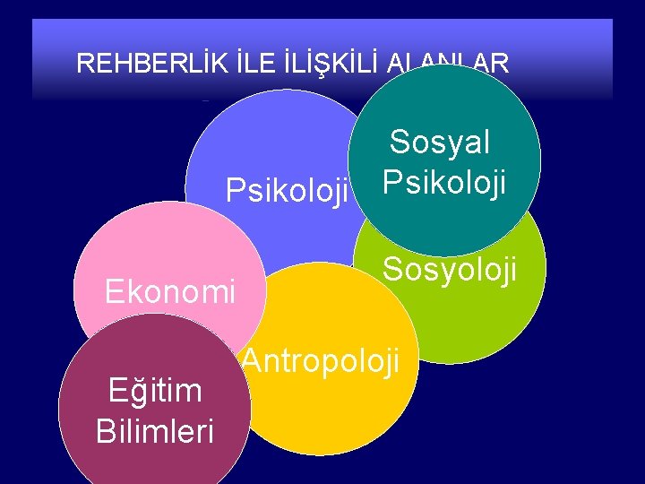 REHBERLİK İLE İLİŞKİLİ ALANLAR Sosyal Psikoloji Ekonomi Eğitim Bilimleri Sosyoloji Antropoloji 